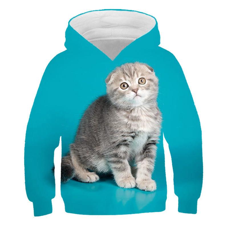 Autumn 3D Cat Pattern Printed Top Fashionable Casual Long Sleeved Children's Boy Hoodies