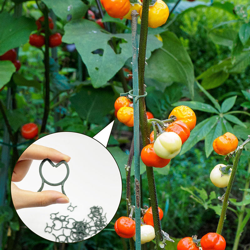 100/200 шт. зажимы для поддержки растений для вьющихся растений многоразовые зажимы для захвата садовых овощей и томатов