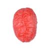 Halloween Horror Bloody Fake Brain Heart Props Lifelike Simulation Human Organ Decorations For Spooky Home Party Decorations