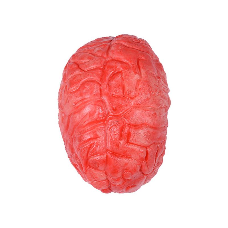 Halloween Horror Bloody Fake Brain Heart Props Lifelike Simulation Human Organ Decorations For Spooky Home Party Decorations