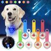 USB Charging Pet Luminous -lost Pendant, Pet Safety Light Luminous Dog Tag