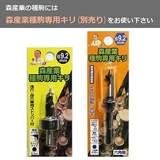 Mori no Kinoko Club Shiitake Mushroom Spawn Plugs Mori 290 Nikumaru Mushroom Cultivation Kit Food Education Cultivation (800 plugs) (Log-grown