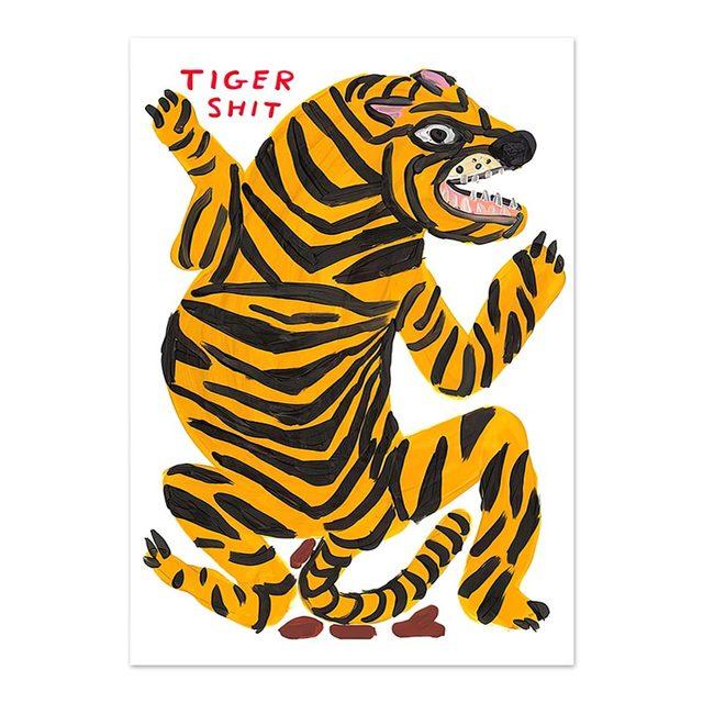 Дэвид Шригли Тигр Пингвин Кит Панцирь Кошка Настенное искусство скандинавские постеры Печать на холсте Настенные картины для декора гостиной