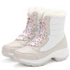 Snow Boots Plush Warm Ankle Boots for Women Winter Shoes Waterproof Boots Women Female Winter Shoes Booties Botas Mujer