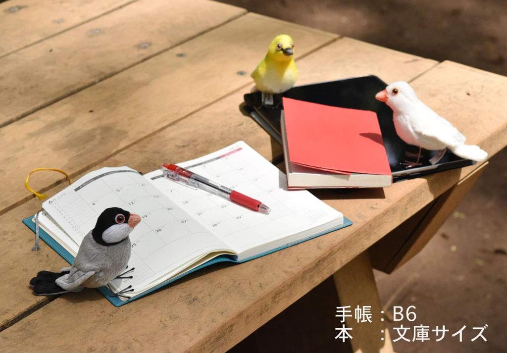 BH7246 HANSA Белоглазый 13