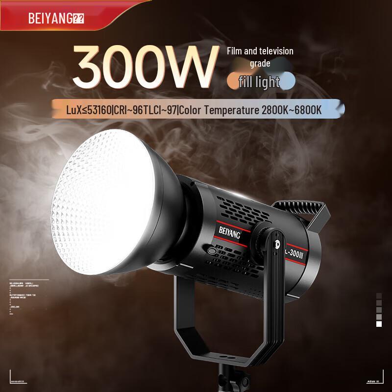 Baiyang 300W COB LED Video Fill Light
