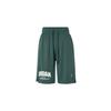 Спортивные шорты Sport Dri FIT Мужские Окислительно-зеленый/Белый FZ9986-366