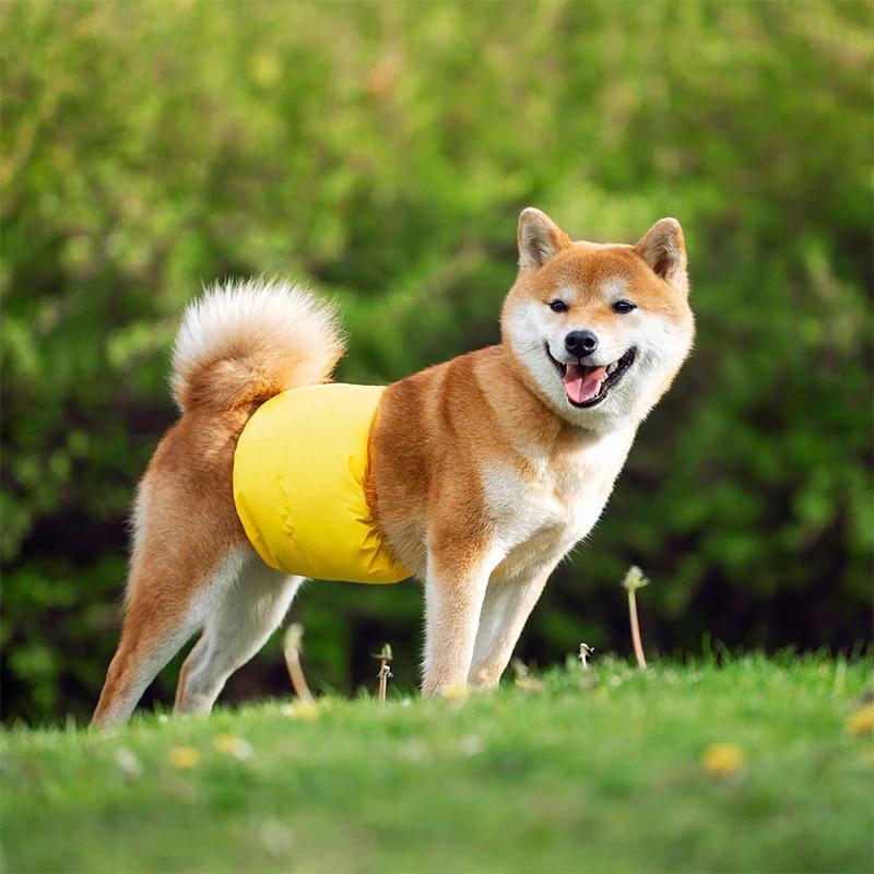 Многоразовые подгузники для собак мужского пола Физиологические трусики для домашних животных Моющиеся гигиенические трусики для собак Водонепроницаемые подгузники с бандажом для живота Подгузники для собак