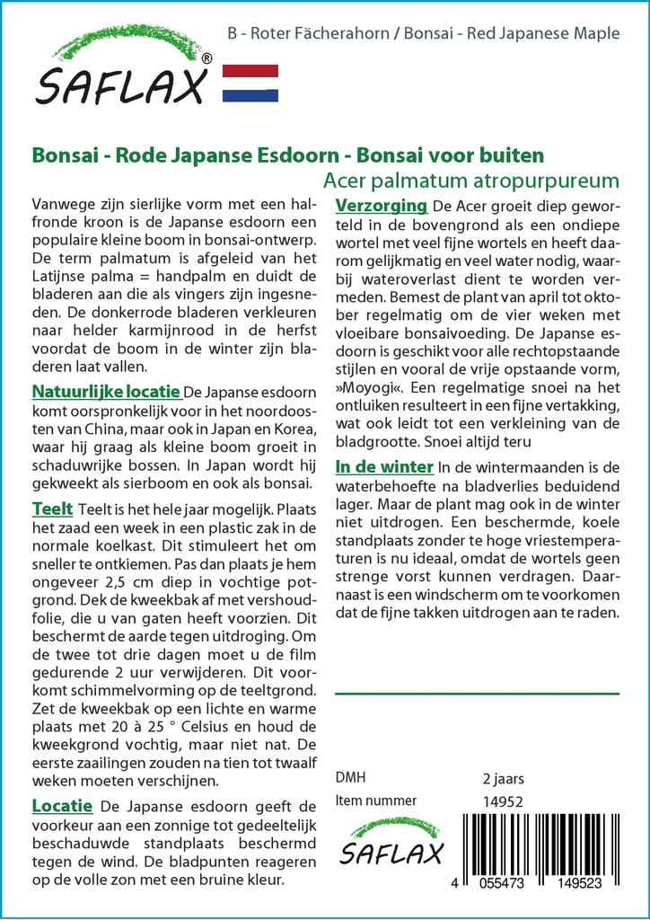 SAFLAX Garden in the Bag - Бонсай - Красный японский клен - 20 семян - С субстратом в подходящем мешке - Acer palmatum