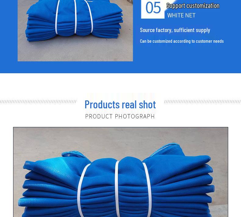 Blue Mesh Safety Net for Construction: Dustproof, Windproof Protection