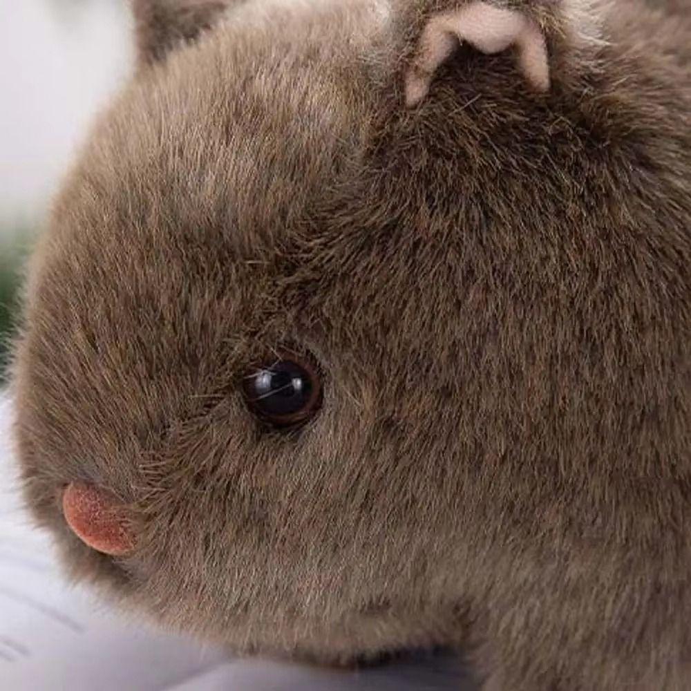 Soft Guinea Pig Plush Toy Cartoon Animal Plush Pillow Cavy Plush Doll  Boys Girls
