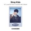 Stray Kids 1-й LoveSTAY SKZ-X ТОВАРЫ ПРЕДЗАКАЗ Официальная фотокарточка
