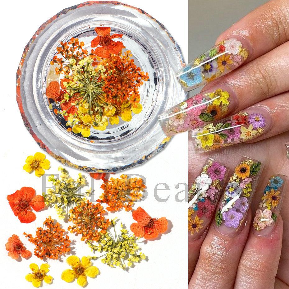 1 коробка для ногтей, сушеные цветы, маленькие ромашки, натуральные цветочные наклейки, смешанные сухие цветы, сделай сам, наклейки для дизайна ногтей, УФ-гель-лак для маникюра