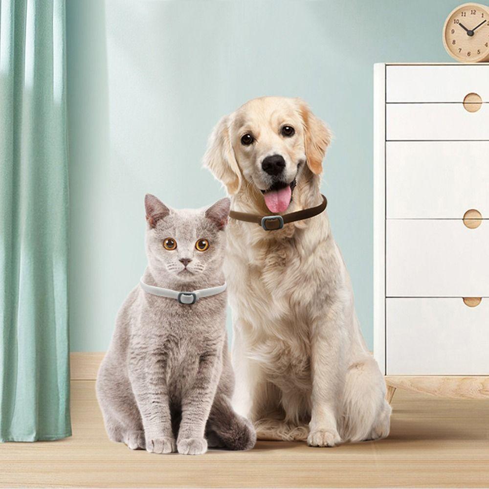 Pet Supplies Puppy Kitten Anti-mosquitoes Insect Repellent Necklace Dog Cat Flea And Tick Collar