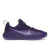 Кроссовки LeBron TR 1 Purple Rain Unisex Court-Purple Action-Grape FJ6151-500
