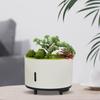 Aroma Essential Oil Diffuser Air Humidifier Machine for Home Fragrance