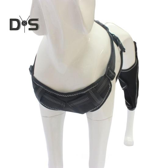 Фиксатор колена для задней ноги собаки Фиксатор колена для бедра собаки Поддержка передней крестообразной связки при дисплазии тазобедренного сустава у собак Артрит Вывих коленной чашечки