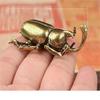 1 Pcs Solid Brass Beetle Ornament Creative Fairy Simulation Copper Insect Tea Pet Hand Play Handle Decorative Crafts