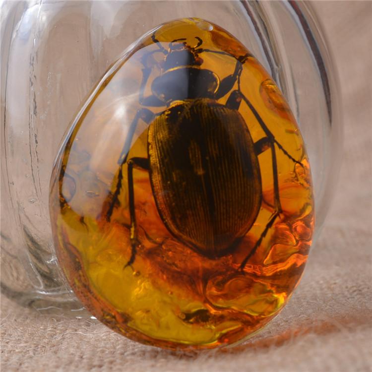 Янтарная бабочка, насекомое, каменный кулон, ожерелье, ручная полировка, подарок