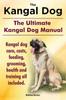 Книга Kangal Dog The Ultimate Kangal Dog Manual Kangal Dog Care Costs Feeding Groomi by Matthew Burston - Paperback