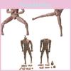Scale Male 16 Nude Body Muscular Mans Action Figure For Tc Dragon Toy Soldier