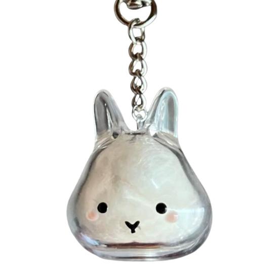1/4Pcs Pet Rabbit Hair Keychain Keepsake Capsule Memorial Pendant Hair Storage Bottle Transparent Pet Hair Key Chain