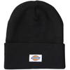 Dickies Basic Knit Beanie (Acrylic, Unisex, Black, One Size)