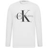 Calvin Klein T Shirts Men's Crew Neck Moderate Straight Fit (Unisex) T-Shirts J318473