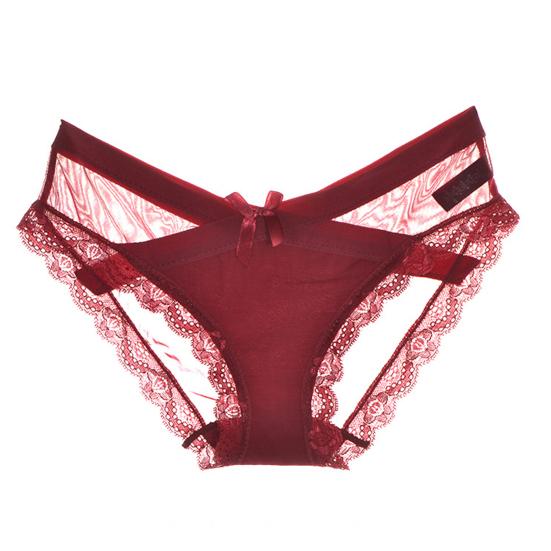 Women's Sexy Panties Lace See Through Underwear Low Rise Thin Mesh Sheer Underpants Breathable Bikini Briefs