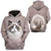 British Shorthair Cat 3D Print Hoodie Men Long Sleeve Pullovers Spring Autumn Street Oversized Cute Cats Pattern Hoodies Tops