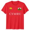 Значок Флаг Уэльса Cymru Нарциссы Семья День Святого Давида Футбольная Футболка #STDD