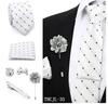 Европейский ретро мужской комплект из 5 предметов с узором пейсли и полосками: Галстук, нагрудный платок, брошь (7.5cm)