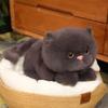 Stuffed Doll Simulation Cat Plush Toys Fluffy Animal Cartoon Kitty Dolls  Car Decor
