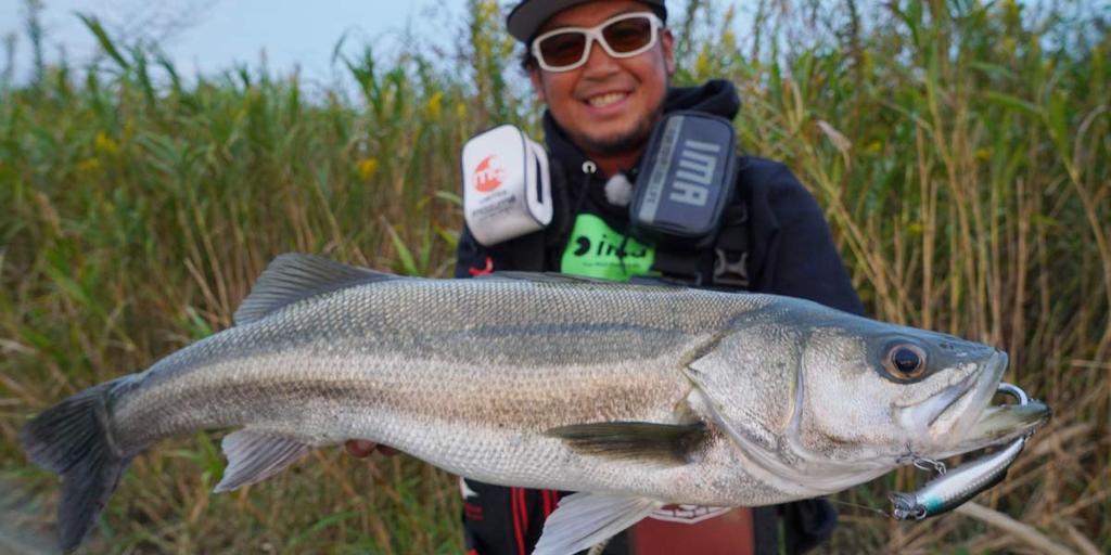 Ams Design (ima) Minnow Ripper 90mm 12g Chart Back Pearl #LP90-002 Lure