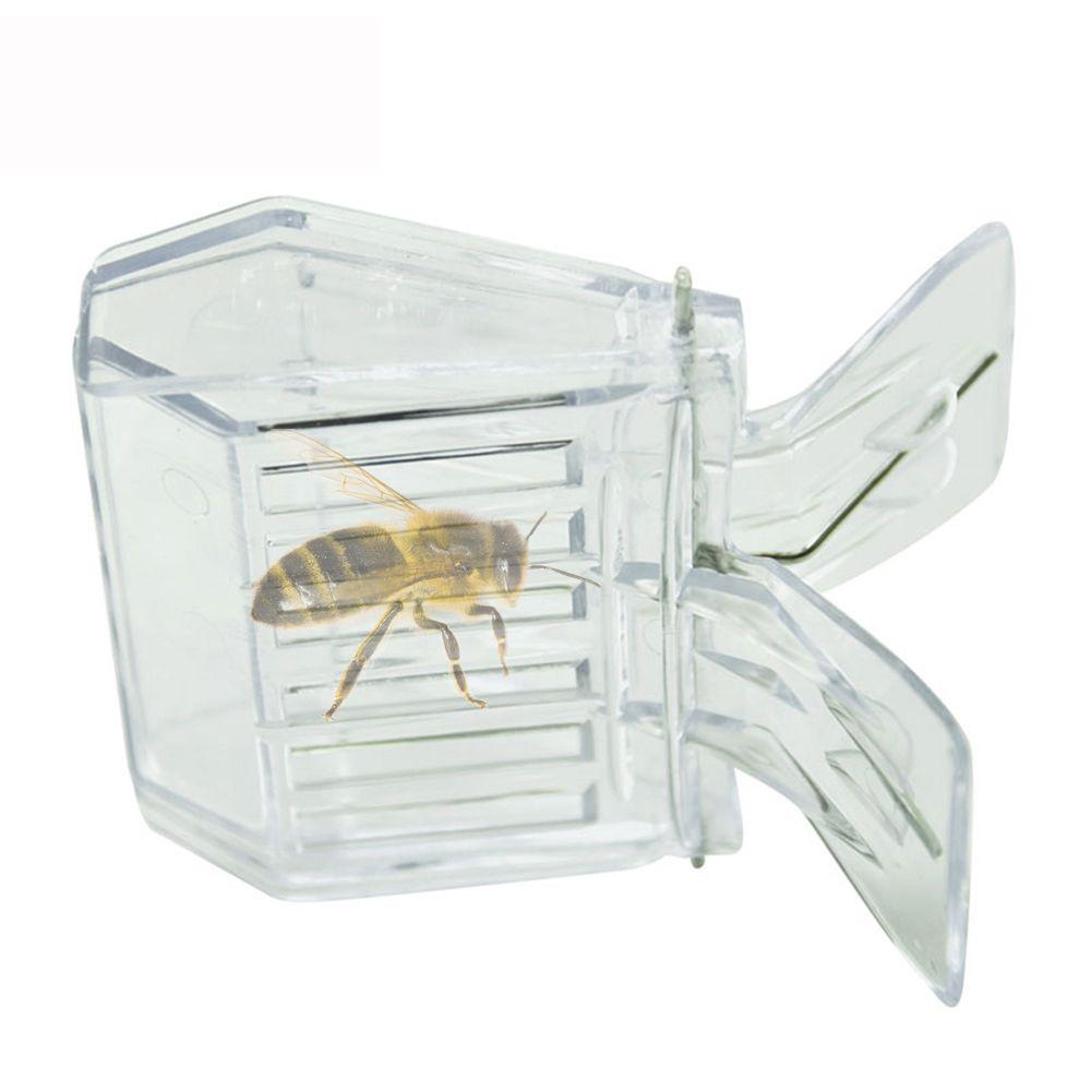5 ШТ. Комната Пчеловод Оборудование Пластиковая Коробка Клетки для Маток Зажим Ловец Насекомых Пчеловодческие Зажимы Без Вреда