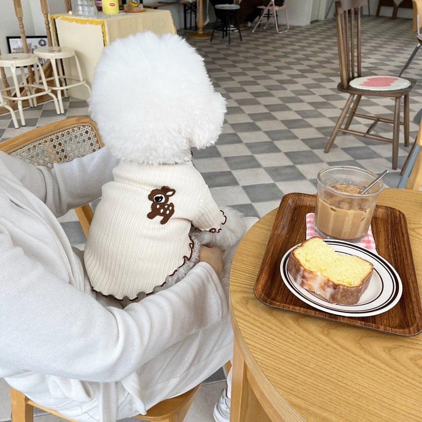 Весна и лето Новинка для домашних животных Собака Кошка Белая футболка Бишон Тедди/Щенок Померанского шпица Одежда для домашних животных