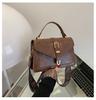 Foreign style women's bag 2025 new spring fashion one shoulder oblique span small square bag retro handbag texture female Korean version