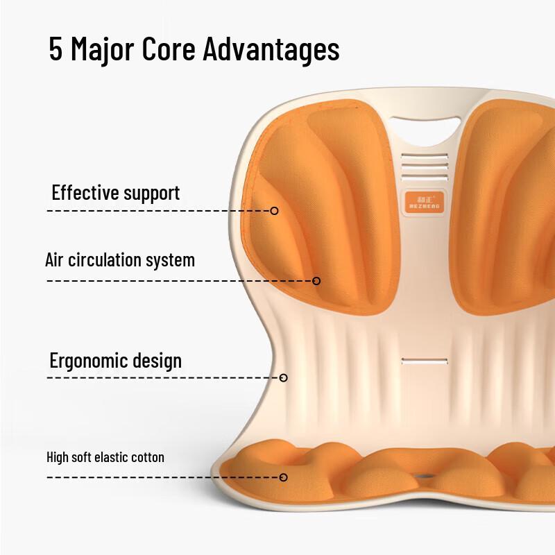 Hozheng Ergonomic Lumbar Support Seat Cushion