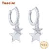 Tancise 925 Sterling Silver Zircon Earrings Drop Earrings For Women Wedding Party Gifts