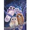 DIY Алмазная картина Полный алмаз животное Сова Алмазная вышивка Набор для вышивки крестом Украшение дома Настенное искусство Подарок