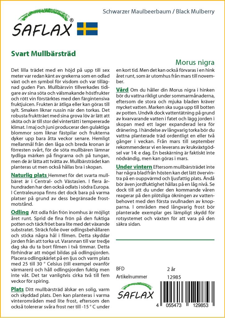 SAFLAX Подарочный набор - Черная шелковица - 200 семян - С подарочной коробкой, карточкой, этикеткой и субстратом для горшков - Morus nigra