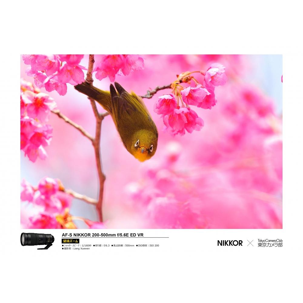 Nikon Telephoto Zoom Lens AF-S NIKKOR 200-500mm f5.6E ED VR