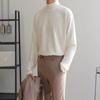 2024 Spring Autumn Winter Solid Casual Plush Turtleneck Men's Loose Bottom Double Faced Velvet Sweater Simple Warm