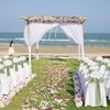 Elegant Design Satin Chair Sashes Butterfly Ties Chair Cover Decoration  Festival Celebration