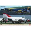 Hasegawa 1/72 F-4E/J Phantom II Американский Акро Комбо Ограниченная Серия