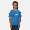 Regatta Childrens/Kids Alvarado VI Mountain T-Shirt