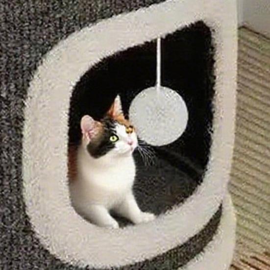 Игровой комплекс для кошек Когтеточка-бочка с 3 кошачьими пещерами Сизалевая когтеточка Многоярусный игровой комплекс для кошек для семьи с несколькими кошками