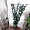 10 шт. Подвесные сушеные листья эвкалипта 22 дюйма Зеленые искусственные растения цветы из свежего эвкалипта Большие