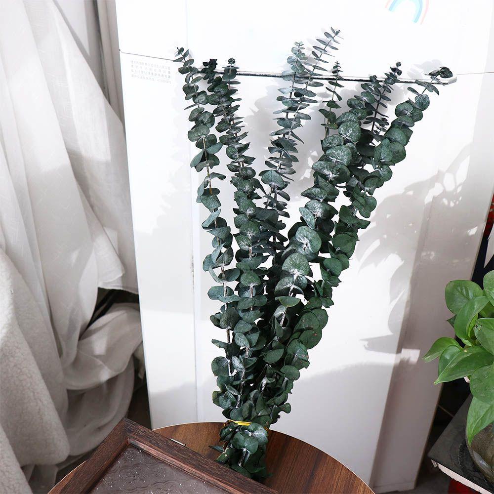 10 шт. Подвесные сушеные листья эвкалипта 22 дюйма Зеленые искусственные растения цветы из свежего эвкалипта Большие