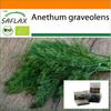 Garden In the Bag - Organic - Dill - 700 Seeds - With Substrate In a Fitting Stand Up Bag - Anethum Graveolens